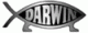 DarwinFish logo