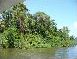 /Daintree river cruise