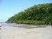 Cape Tribulation