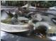 Bronze fountains near Circular Quay