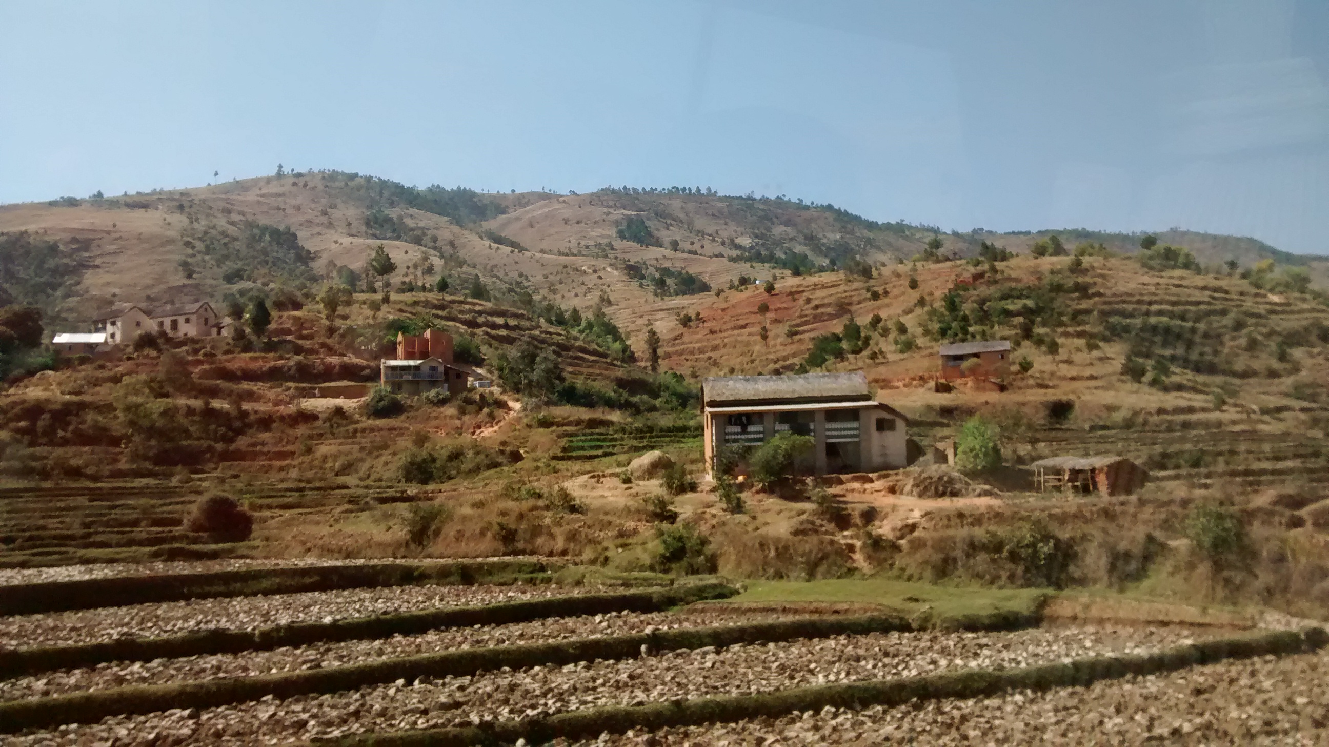 Country view