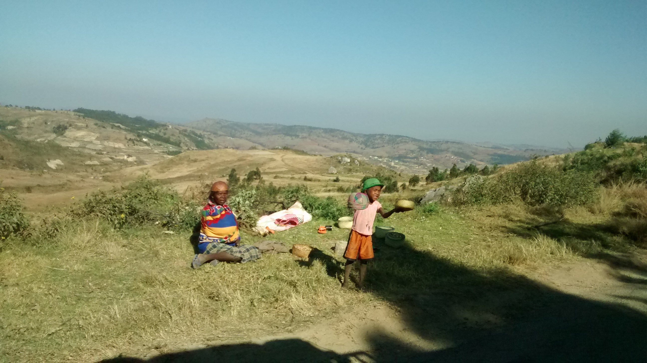 Roadside vendors