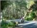 One of a swarm of bikes coming up the hill