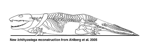 Ichthyostega